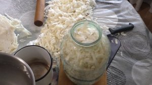 Как очень просто и быстро засолить капусту