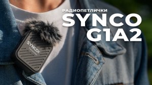 Synco G1(A2) - Лучшие бюджетные радиопетлички 🔥🔥