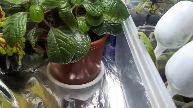 ОБЗОР ЧЕРЕНКОВ СТЕЛЛАЖ смотреть онлайн