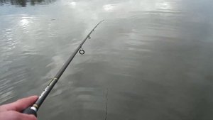 Ловля хищника на джиг.Рабочие проводки на СУДАКА и ЩУКУ! Зимний спининг.