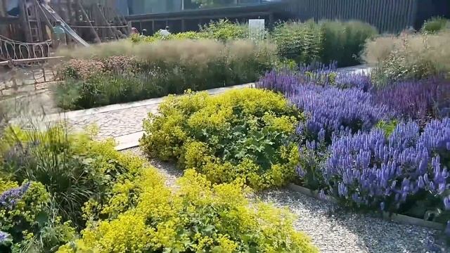 Новая Голландия смотреть онлайн