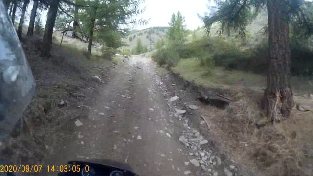 Мотовыходные 24 Джазатор