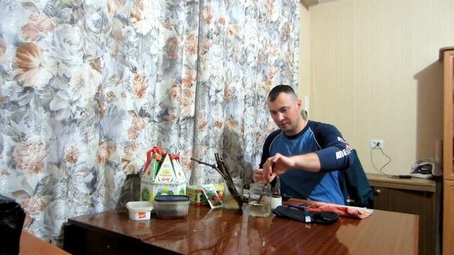 Виноград. Размножение винограда. Как прививать черенки винограда зимой. Зимняя прививка винограда.