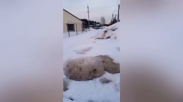 40 МИНУТ СМЕХА ДО СЛЁЗ: ПРОСТО НЕВООБРАЗИМЫЙ УГАР И ПРИКОЛЮХА ЛУЧШИХ ПРИКОЛОВ 2023! смотреть онлайн