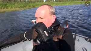 ПОДВОДНАЯ ОХОТА ЛЕТОМ НА МАЛОЙ РЕЧКЕ У ДРУЗЕЙ. КОМПАС №34