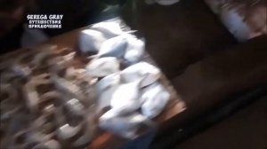 Как добраться на автобусе на пляж Калангут. Рынок морепродуктов. Смотри, что будет. Serega Gray