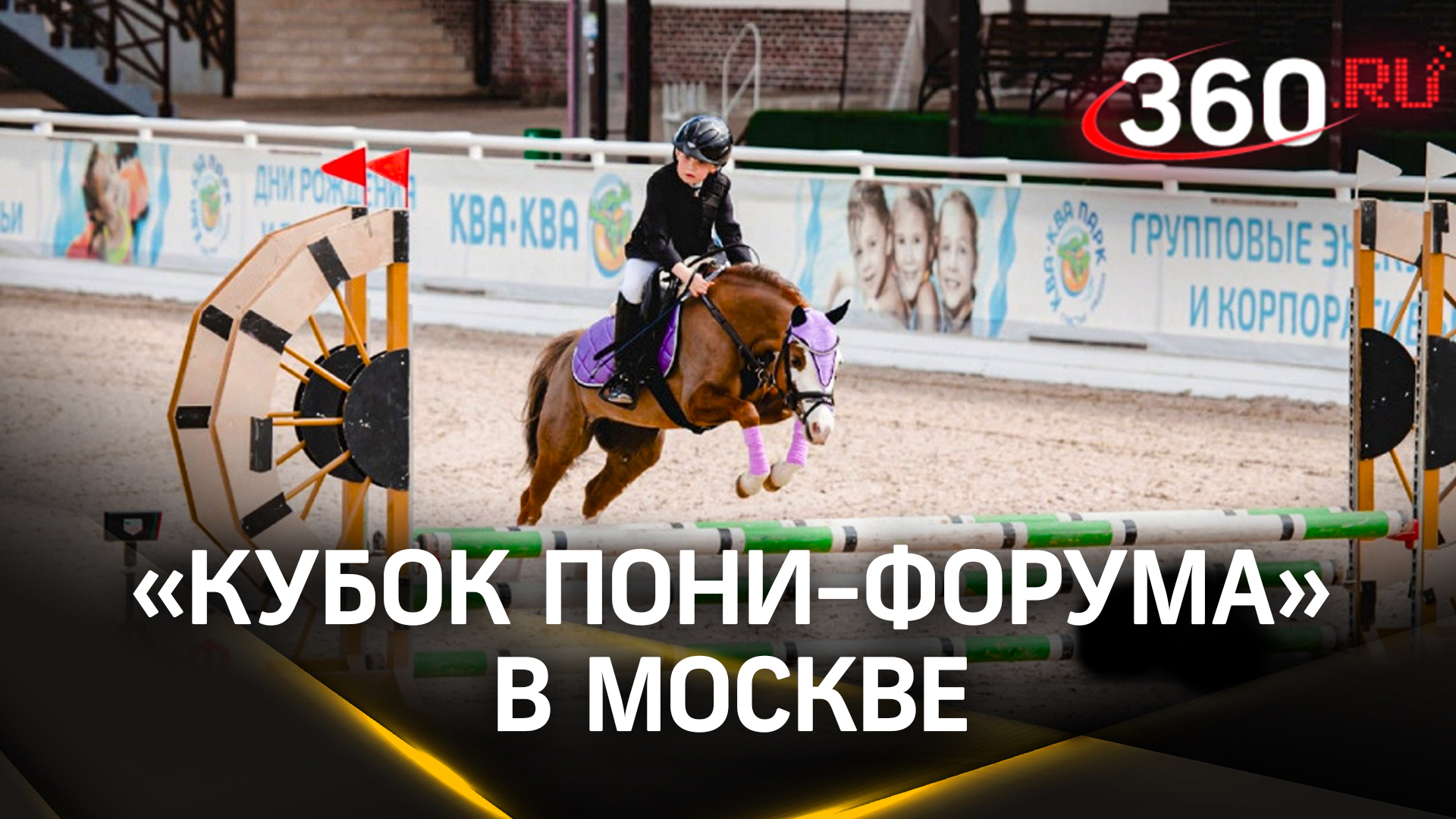 Скачки на пони и на палке с лошадиной головой: как прошел «Кубок пони-форума» в Москве