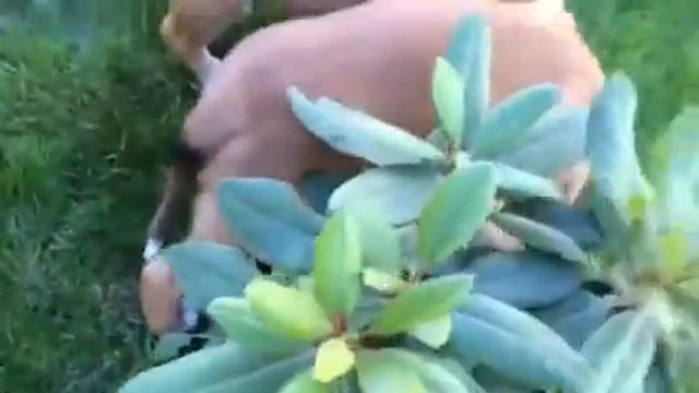 trim DCCAC082 A767 436A A3D7 725FE21A2998 смотреть онлайн