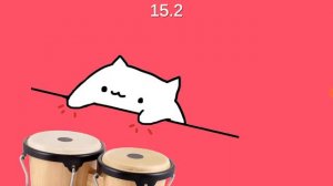 Бонго котик