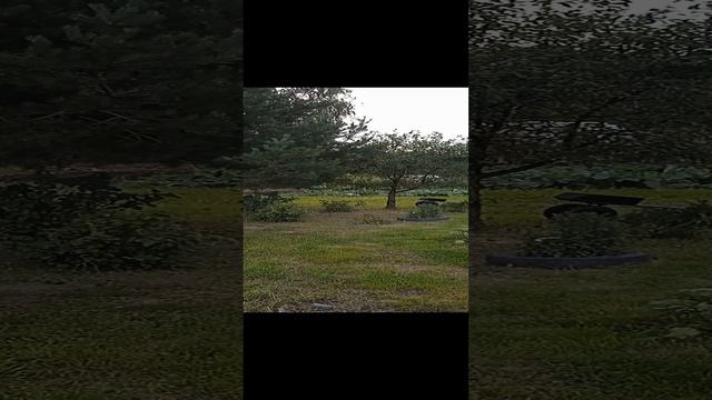 Деревенский участок