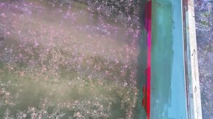 Шелкография! Чудо-техника! Печать по ткани.