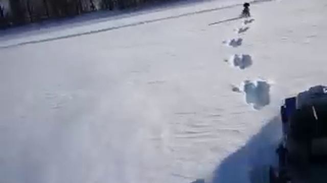 целина смотреть онлайн