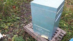 Нуклеус Мини+!!! Подготовка к зимовке!!!