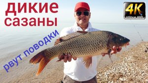 Клёвый двухдневный отдых на рыбалке , на озере Тудакуль . ( Two-day fishing on Tudakul Lake )