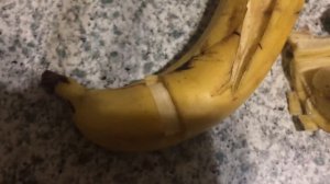 Гильотинная ампутация//одномоментная ампутация//мертвый банан//кошка