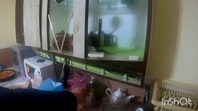 ПРИГОТОВИЛА 3 ДЕРЕВЕНСКОЙ ПИЦЦЫ/ ЖИЗНЬ В ДЕРЕВНЕ смотреть онлайн