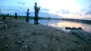 Рыбалка на судака вечером на Берди