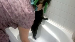 дети, и кошка которая не любит мыться