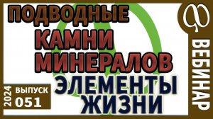 ЭЛЕМЕНТЫ ЖИЗНИ. Подводные МИНЕРАЛЬНЫЕ камни. Скрытые дефициты и избыток соли. Измерим Ваш баланс