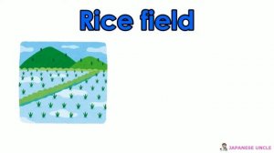 10 quizzes including 2 types of Kanji & Hiragana "flower" and "Rice field"