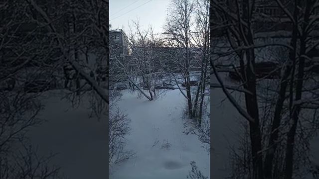 снег.