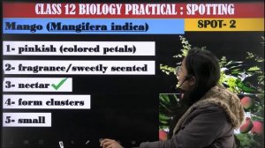 How to do SPOTTING | Biology Practical Class 12| top coaching