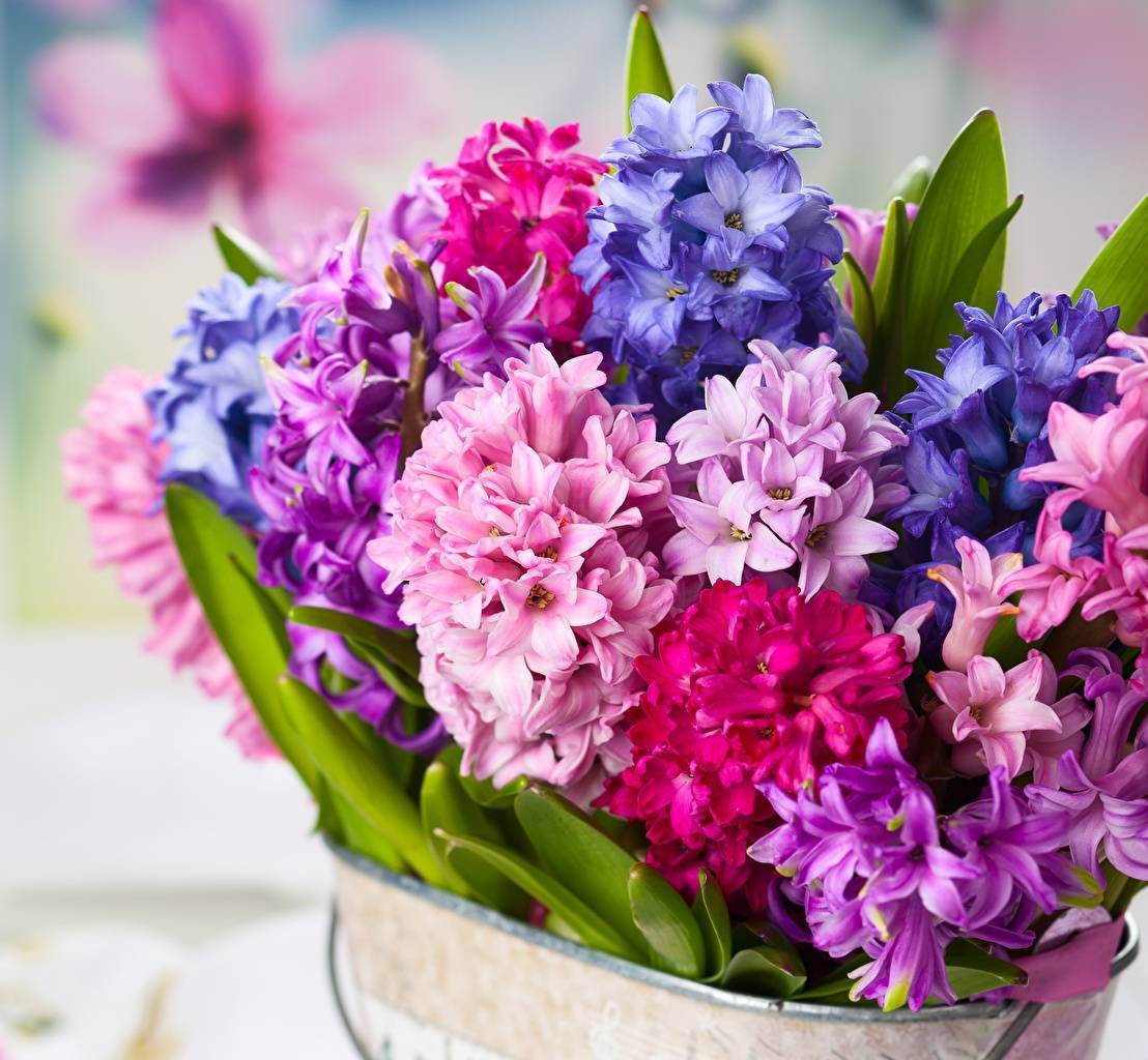 Прикольное Поздравление с Праздником 8 Марта 🌸