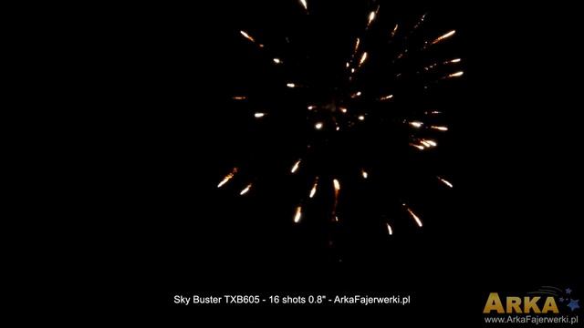 TXB605 SKY BUSTER смотреть онлайн