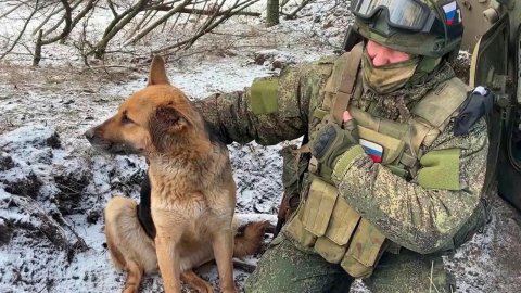 На одной из позиций в ДНР сражается необычный экипаж - четыре бойца и собака
