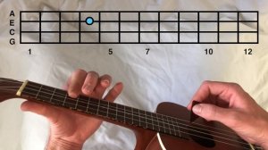 surf curse - freaks (main riff) // ukulele tutorial