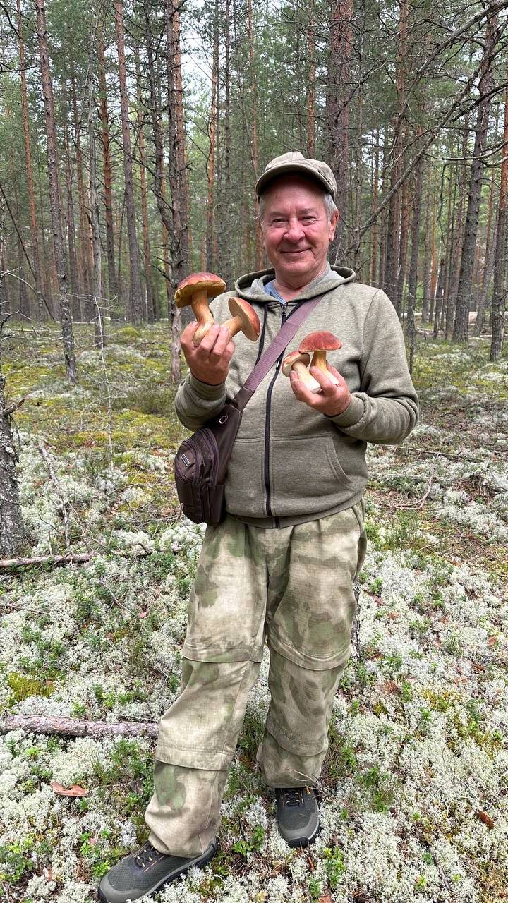 Грибов много и разные. Белые и Красные грибы в Ломоносовском районе.