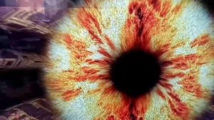 Видеокарта AMD Radeon HD 7800 2GB