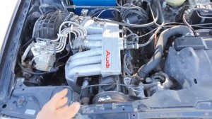 Реванш! Прущий Passat B3 и Audi 90, Golf Plus 1.4 TSI, Audi 80 2.3, A6 C4 2.6 Quattro, A6 C5 2.4