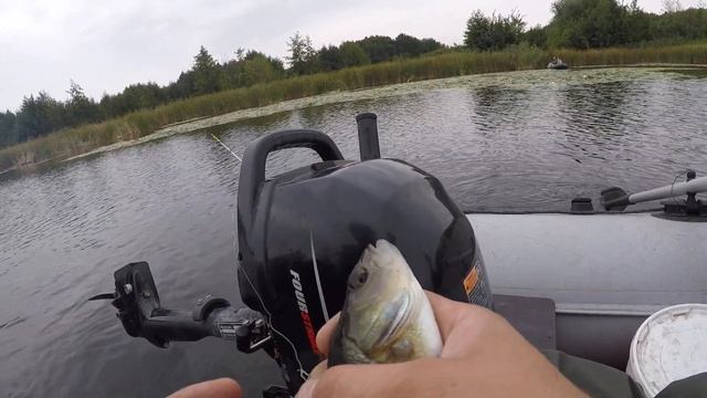 Рыбалка и отдых на реке Псел , база отдыха " Cосновая Поляна" смотреть онлайн