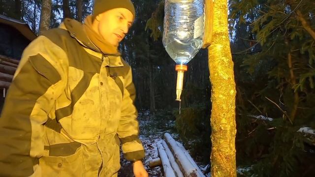 Расширяю лесную избу||Делаю сени||Рукомойник на месте||Такого гостя я не ждал! смотреть онлайн