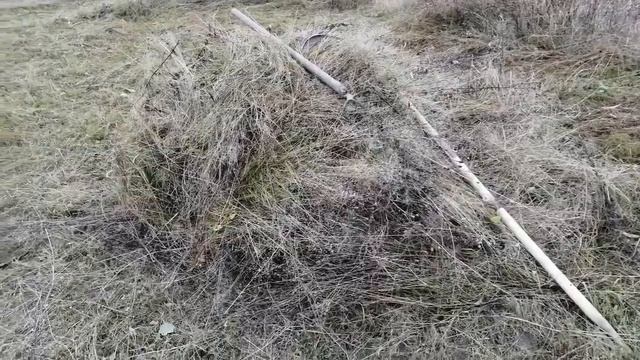 Подстилка для свиней и поросят (венгерская мангалица) бесплатно смотреть онлайн