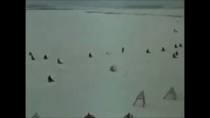 Как вести себя на зимней рыбалке видео времён СССР