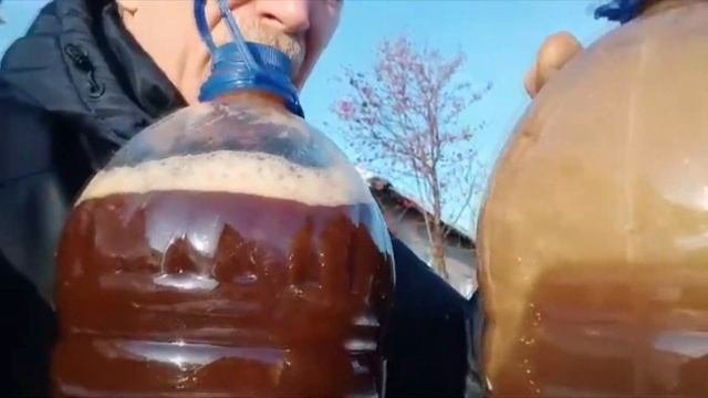 Плодородие живой почвы Микроорганизмы биопрепараты зимой