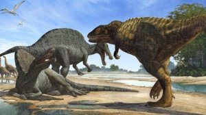 Хищные динозавры.mp4