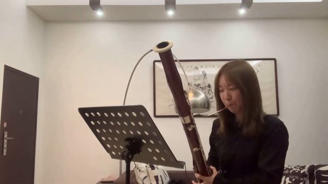 Yuni Ye_Video audition_Bassoon смотреть онлайн