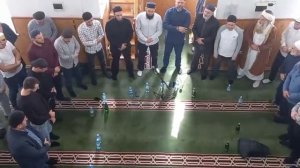 Мавлед .22.10.2021г.