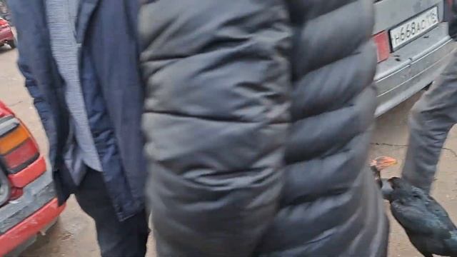 Сарыагаш кус базары.Онтустик Казакстан.Туркестан облысы.Жибек жолы кус базары.Казахстан.Птичий рыно