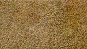 С Праздником Пасхи.mp4