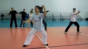 Мастер Ван Линь. Чень 40 форм. Форма №