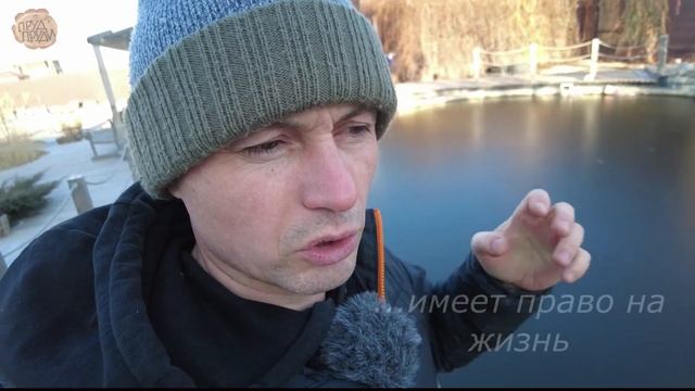 Как сделать полынью в пруду | 3 часть | ПРУД ПРУДИ смотреть онлайн