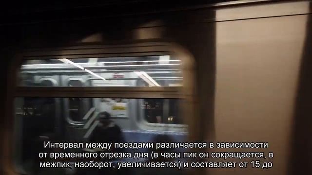 Электрички из Санкт-Петербурга в Петергоф: как доехать, расписание и цены