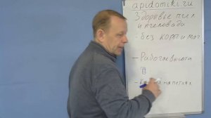 1 Принцип пчеловодства в Владимирских ульях лежака - Здоровье пчеловода и пчёл