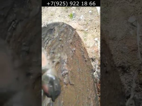 Эту гадость достали из колодца, весь в грибке и слизь везде!