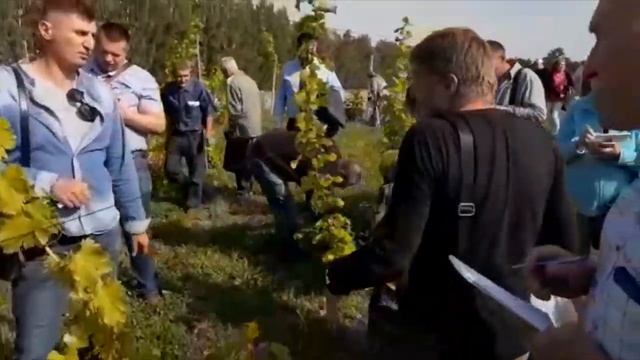 ??ч.2 Семинар по виноградарству в НИИ "Плодоводства" в Самохваловичах. Сентябрь 2019