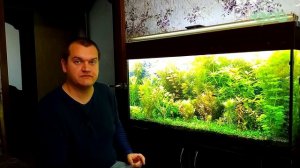 Детальный обзор  по содержанию аквариума травника от Артема и немного о перезапуске!